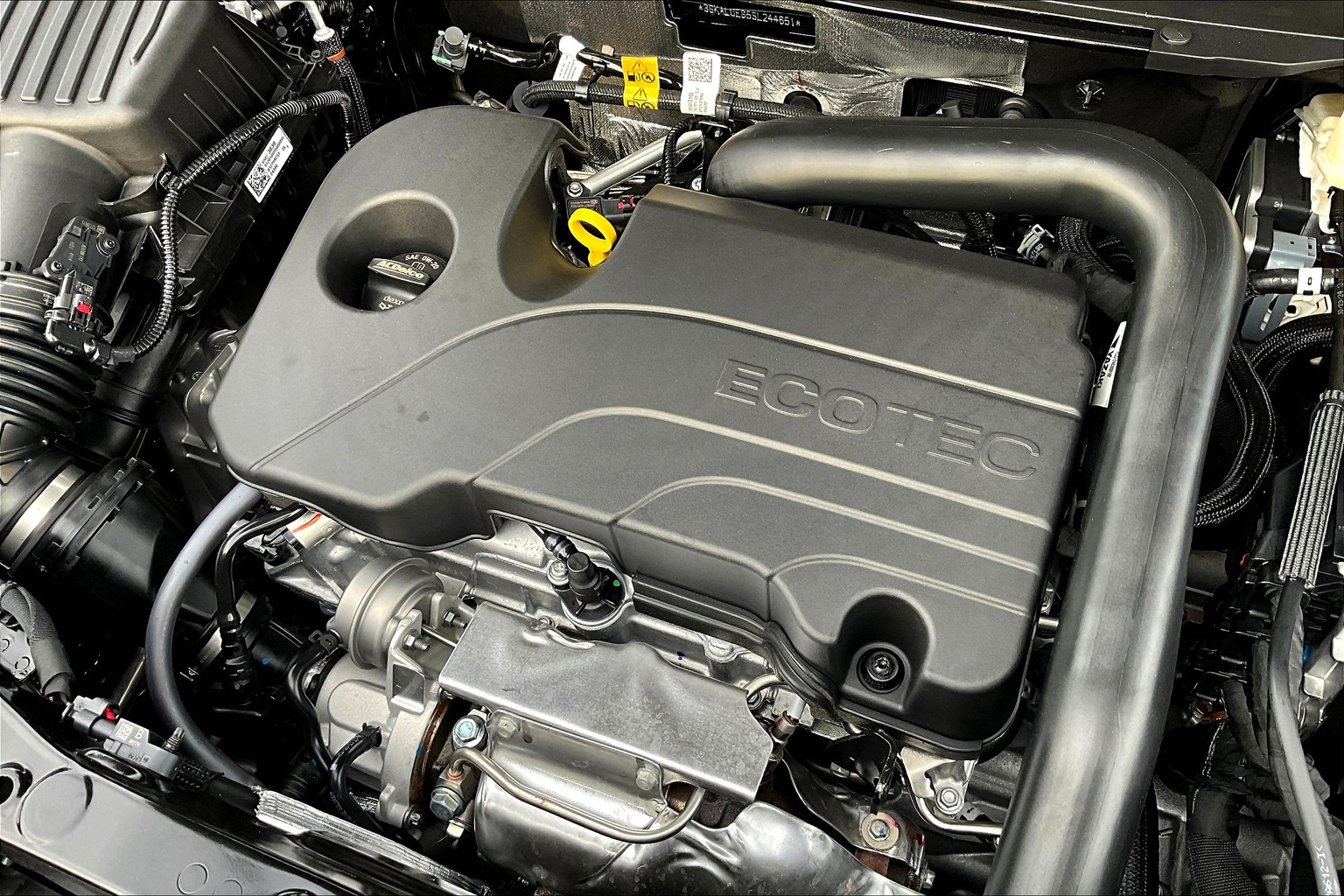 2025 Gmc Terrain Elevation photo 18