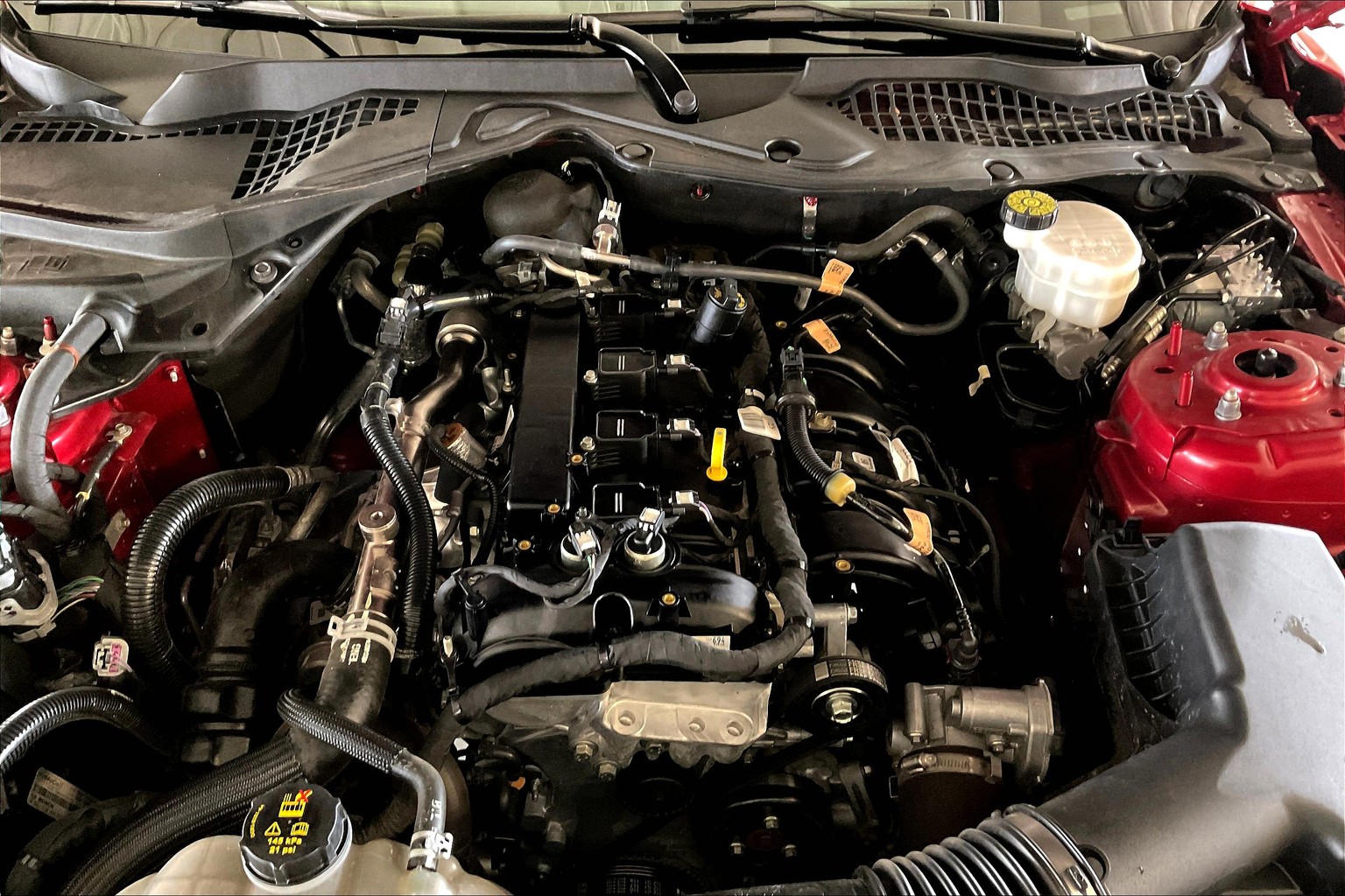 Mustang EcoBoost Premium