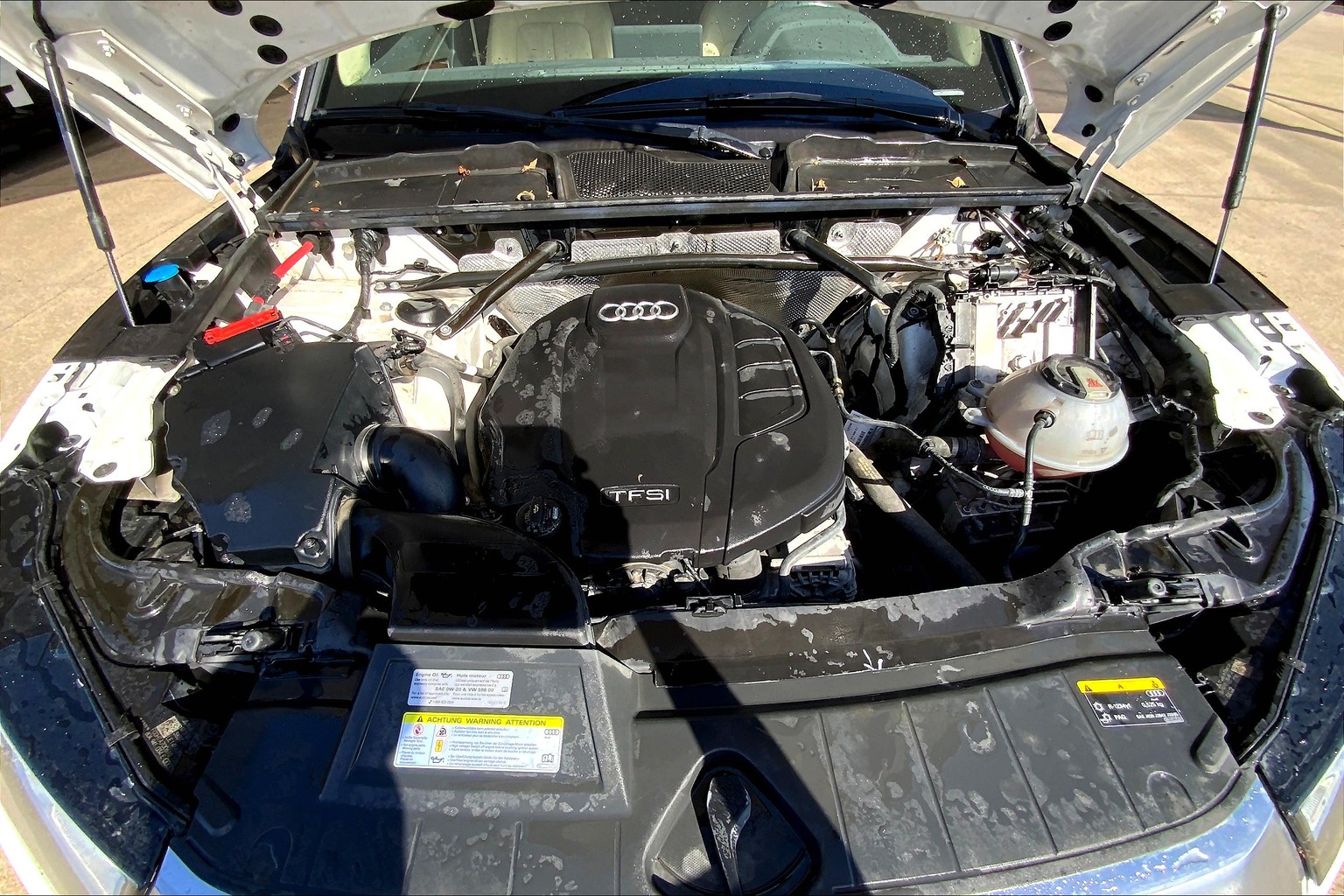Q5 Premium Plus 45 TFSI quattro