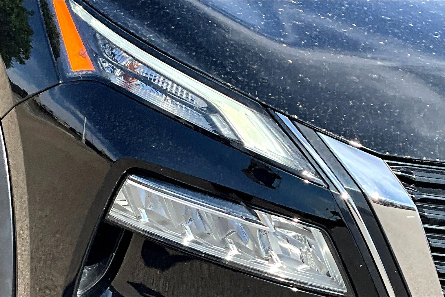 Rogue 2023.5 SV