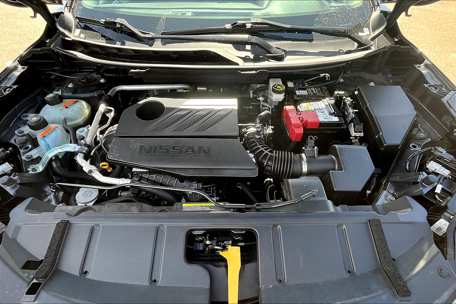 Rogue 2023.5 SV