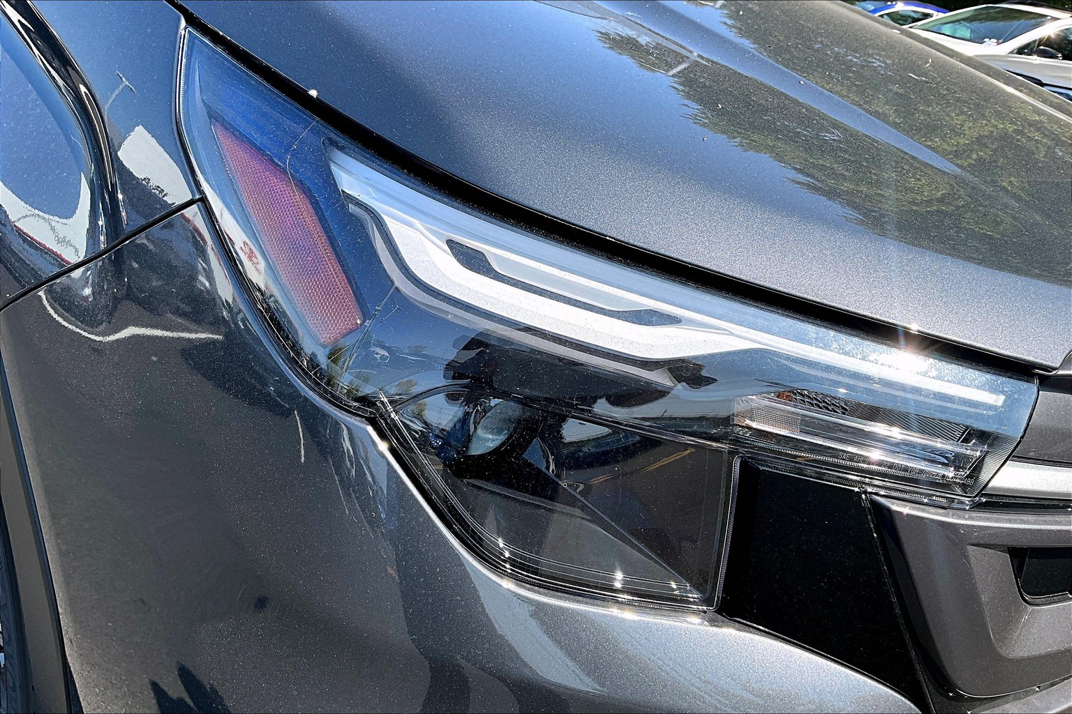 Forester Premium