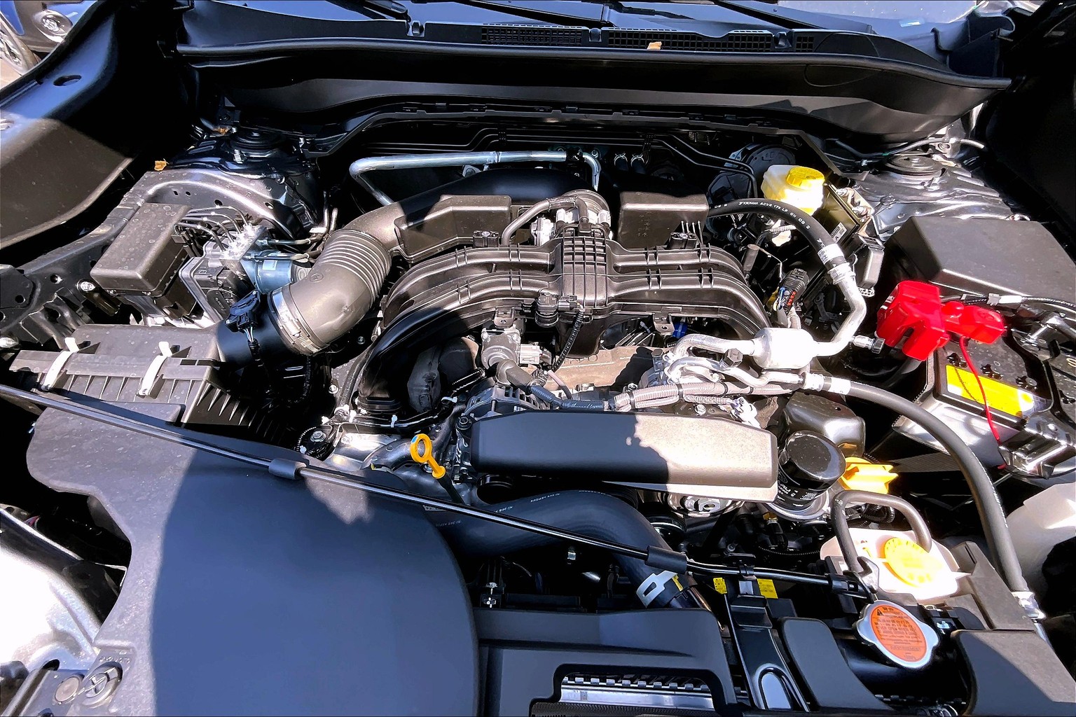 Forester Premium