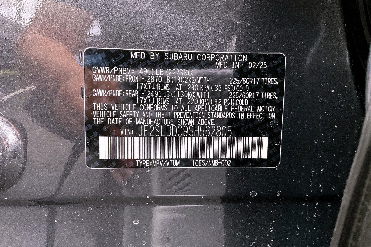 Forester Premium