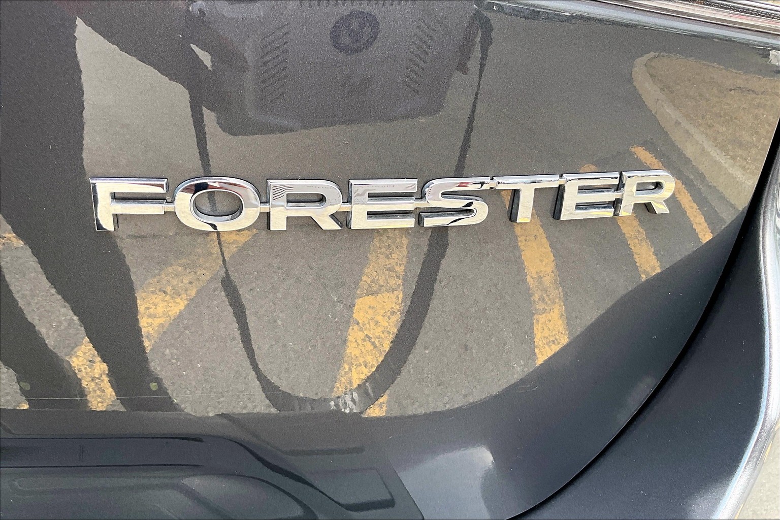 Forester Premium