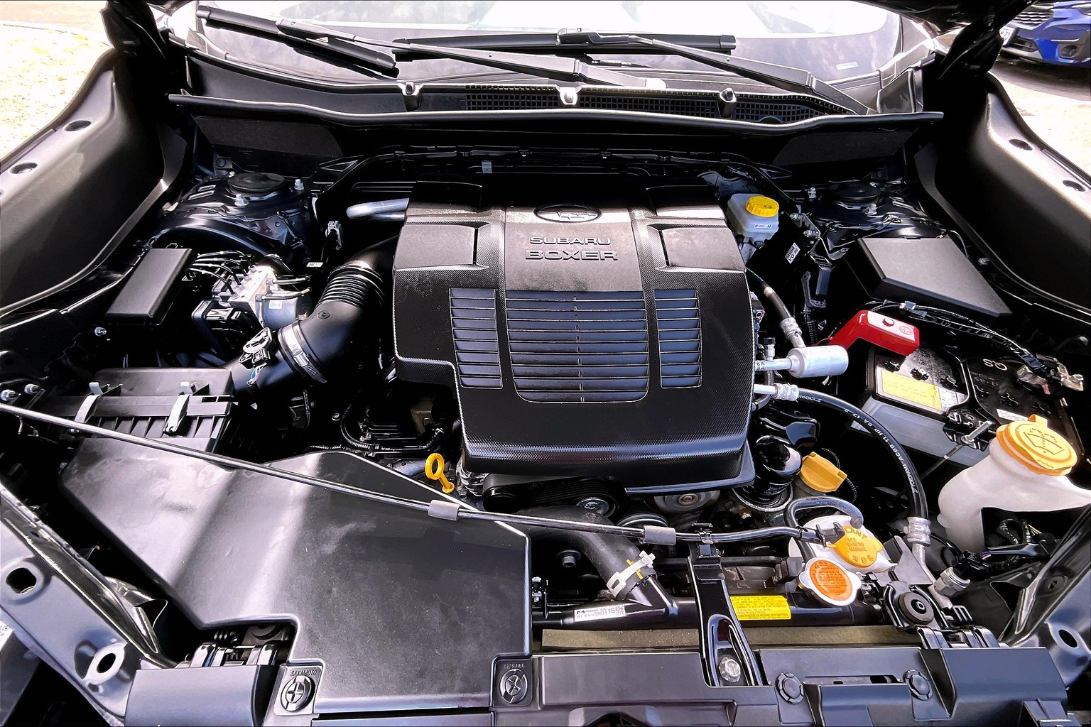 Forester Premium