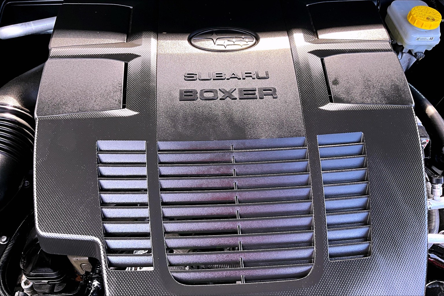 Forester Premium