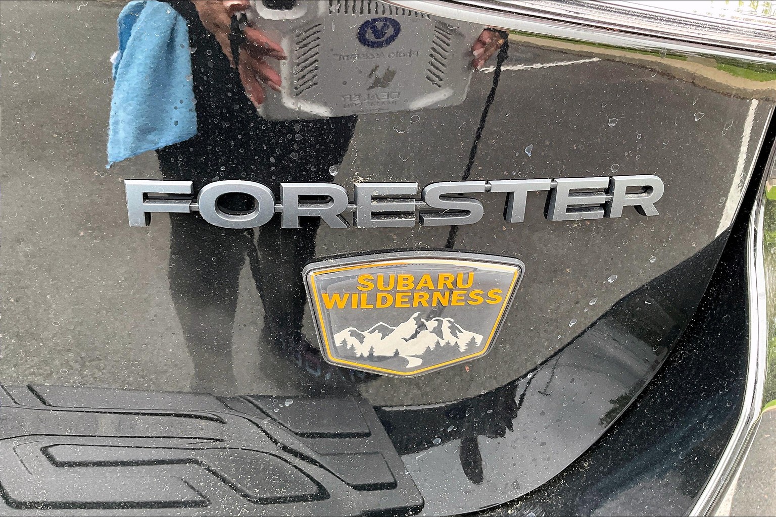 Forester Wilderness