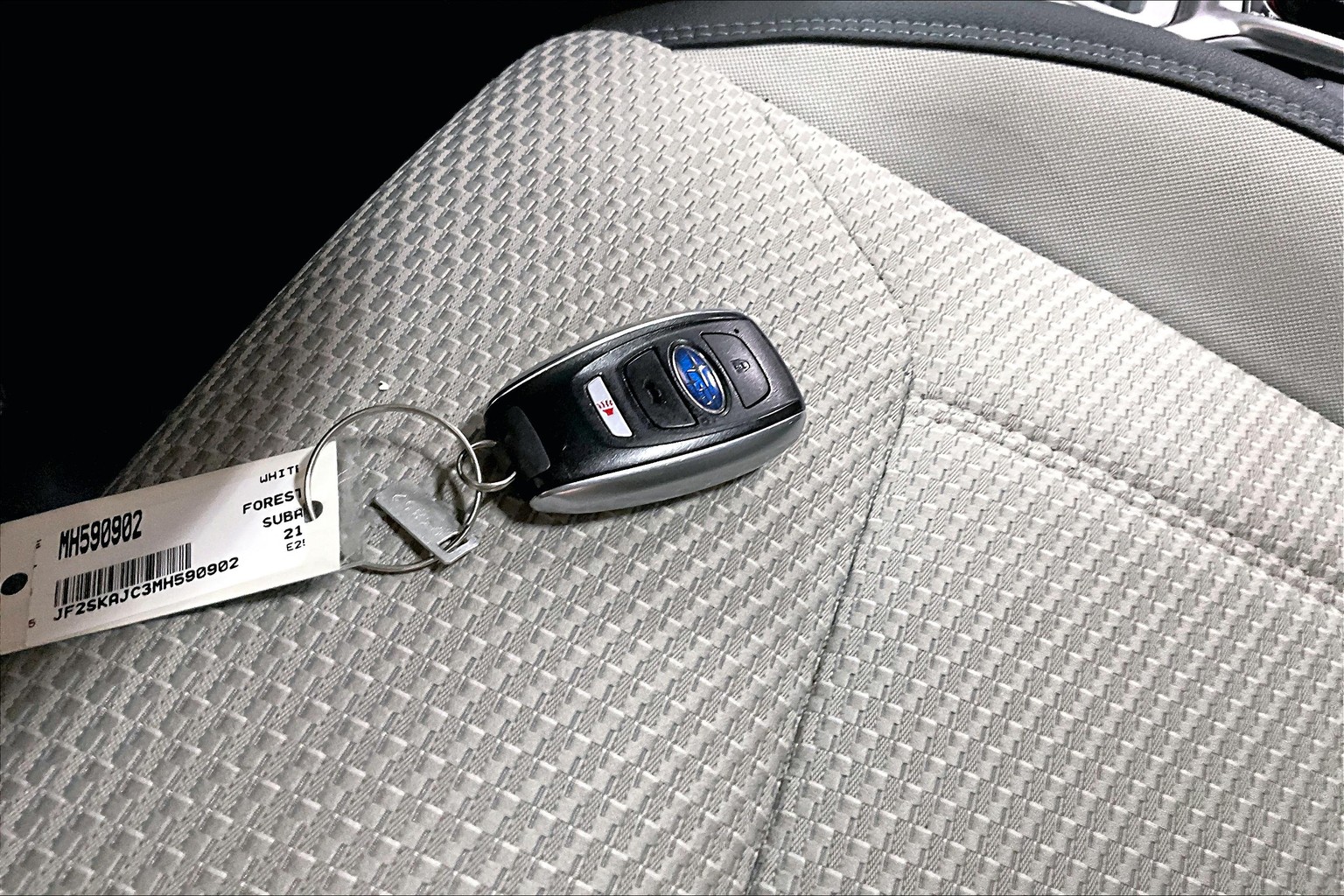 Forester Premium