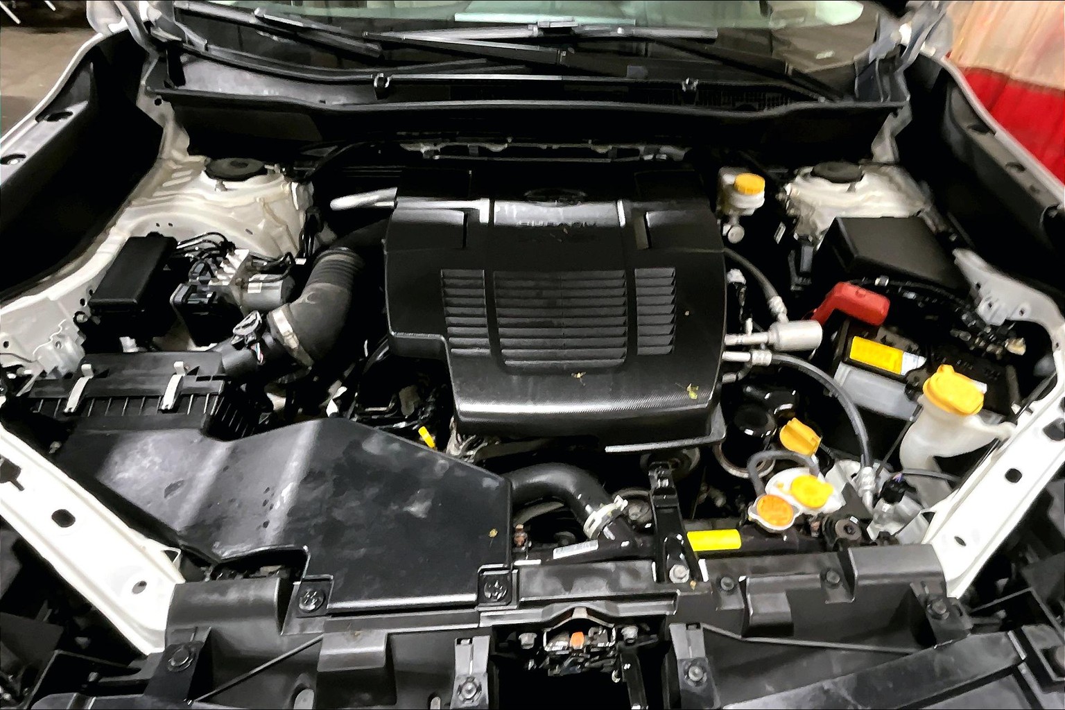 Forester Premium