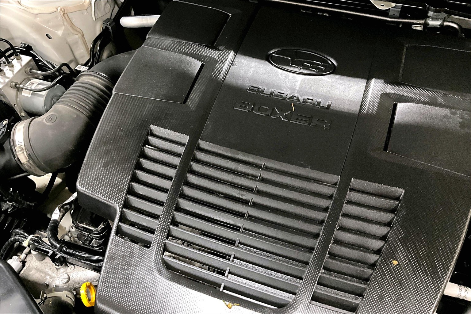 Forester Premium