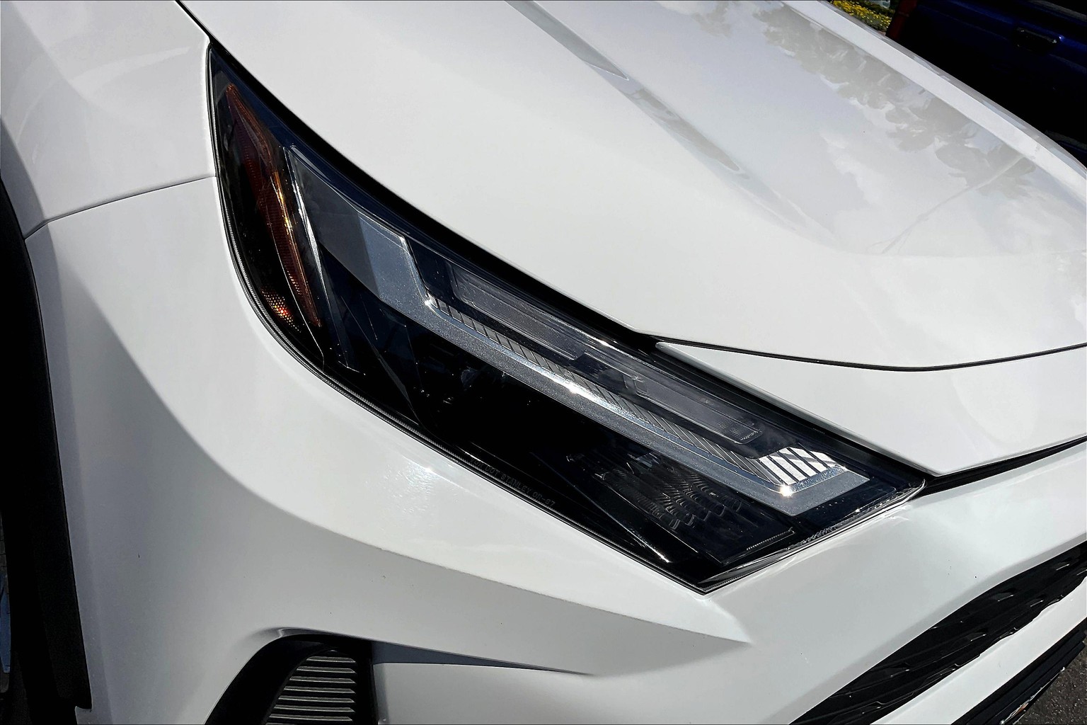RAV4 XLE