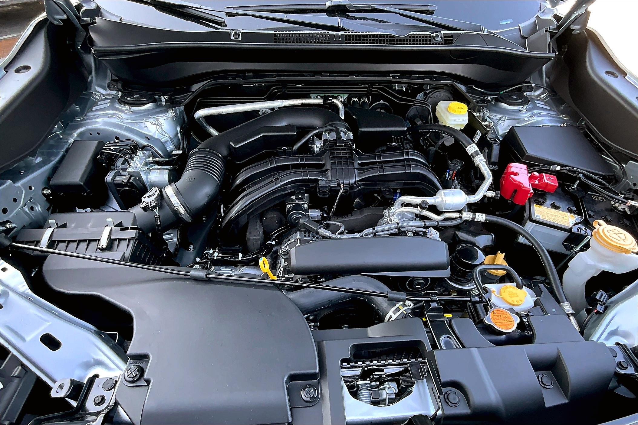 Forester Premium