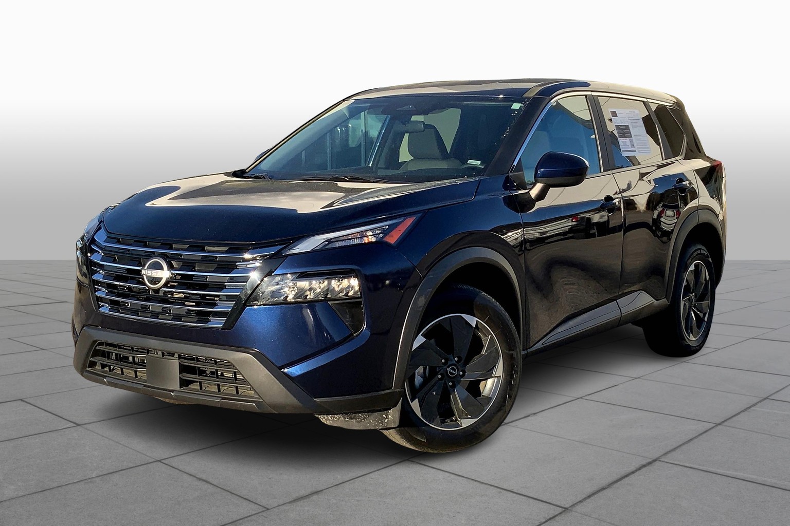 Rogue SV