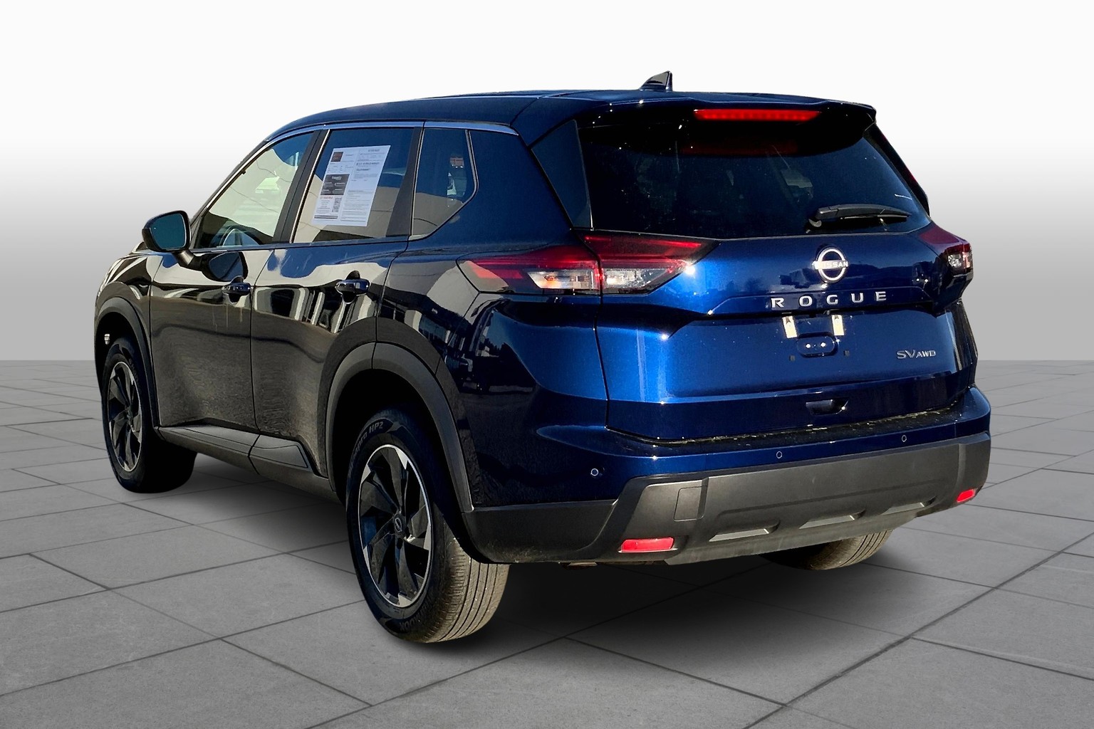 Rogue SV
