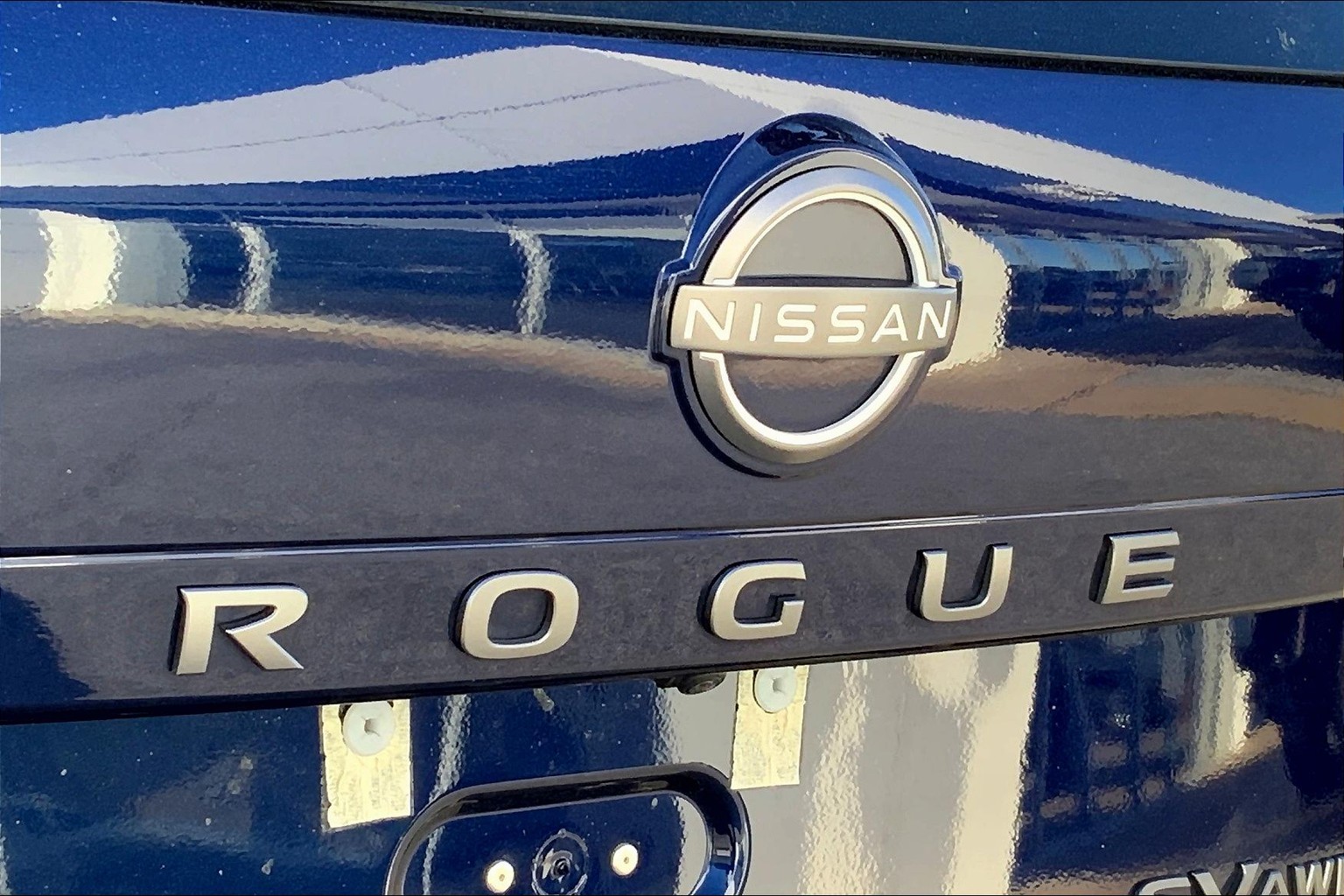 Rogue SV