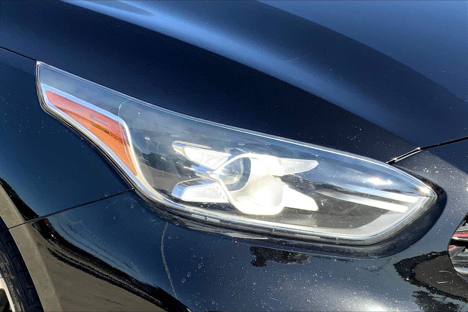 Forte GT