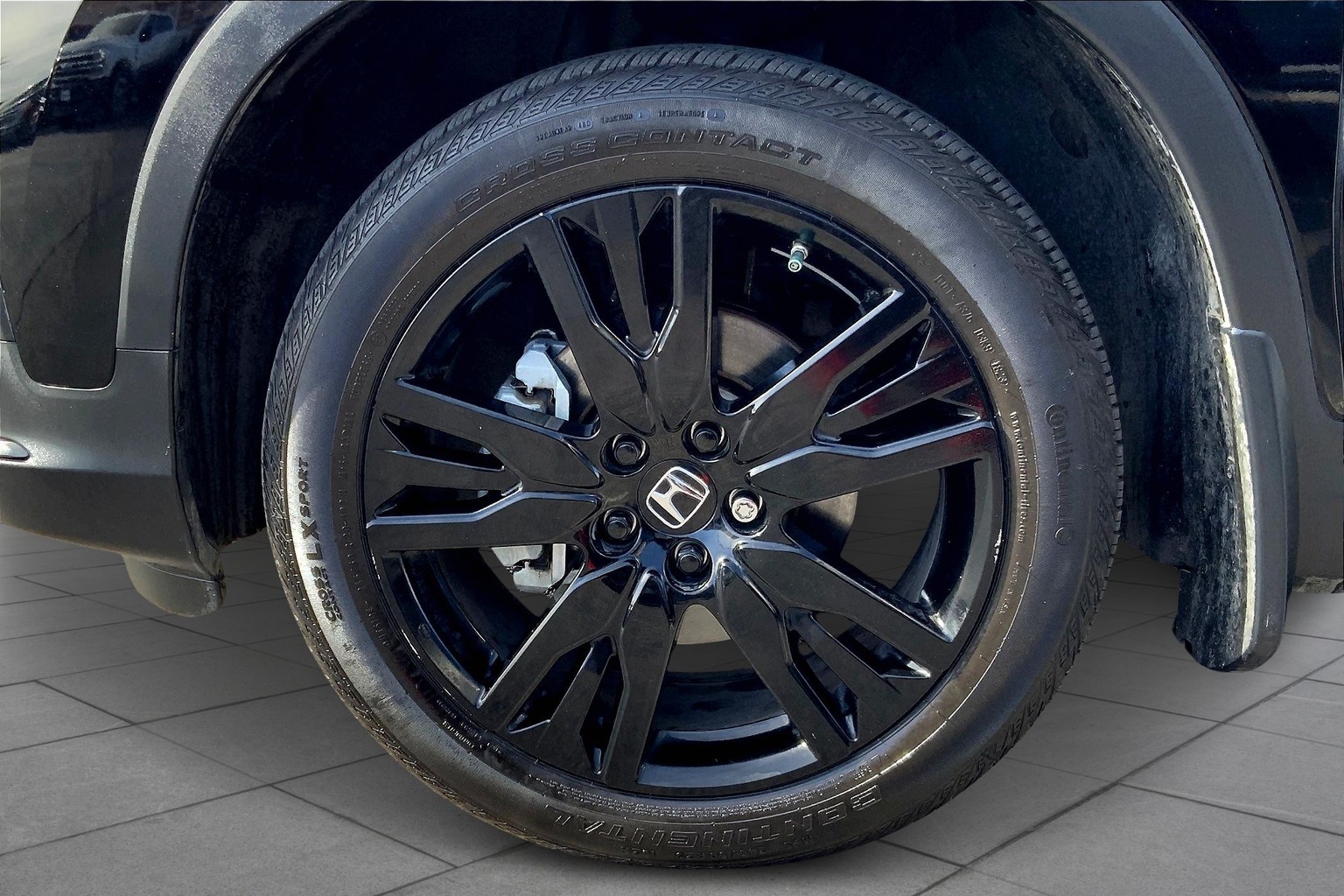 Pilot Special Edition