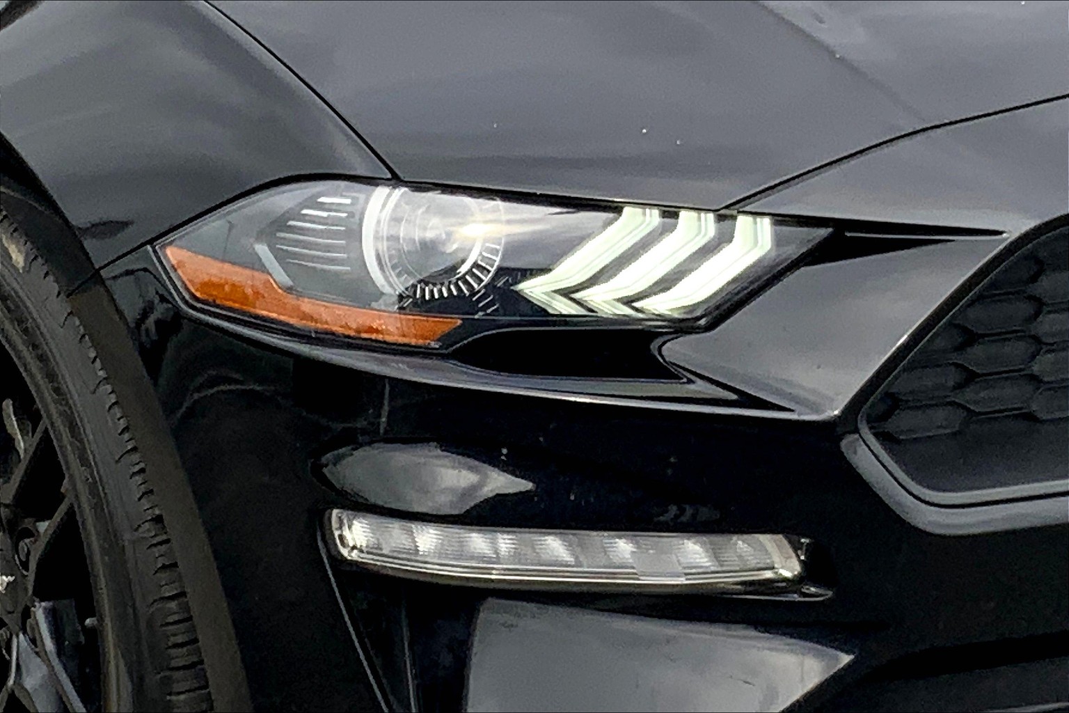 Mustang EcoBoost