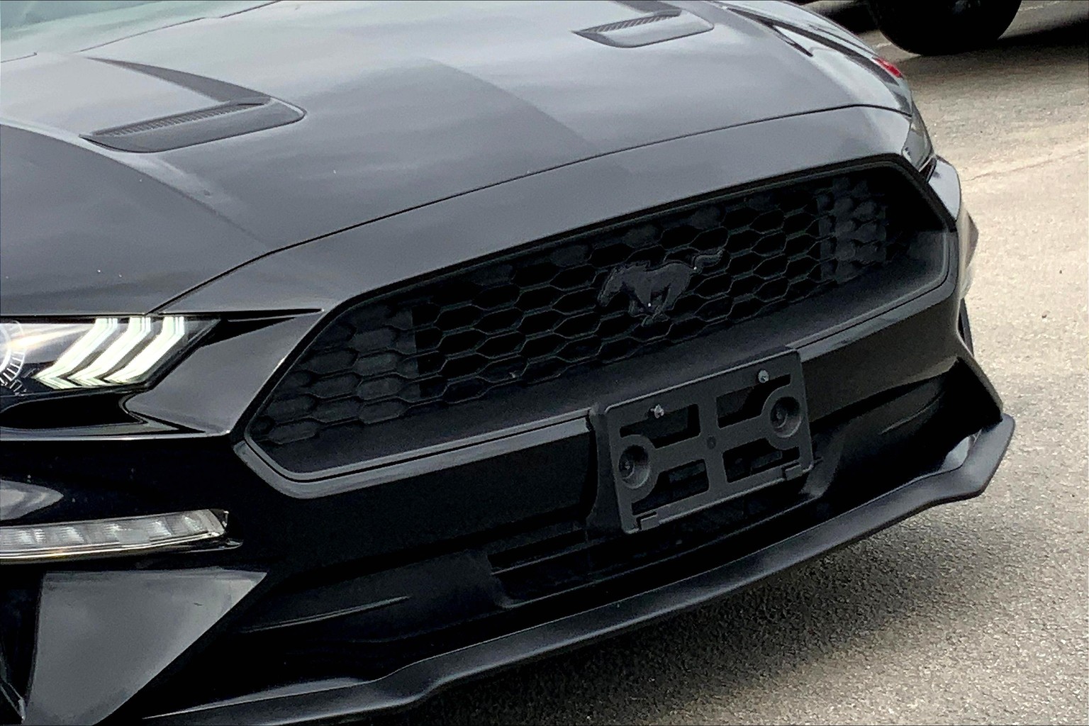 Mustang EcoBoost