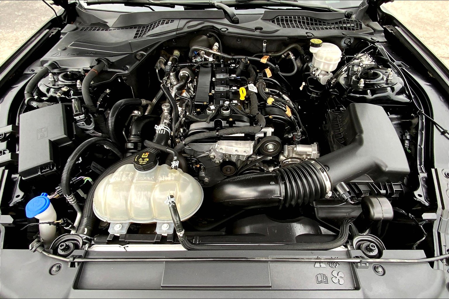 Mustang EcoBoost