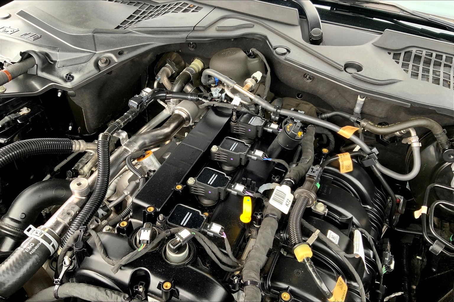 Mustang EcoBoost