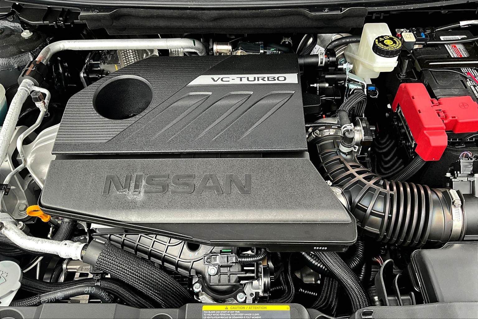 Rogue SV