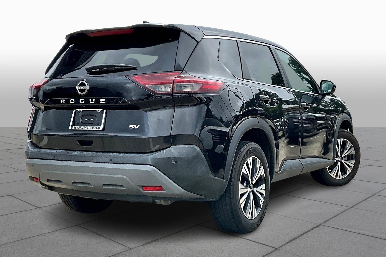Rogue SV