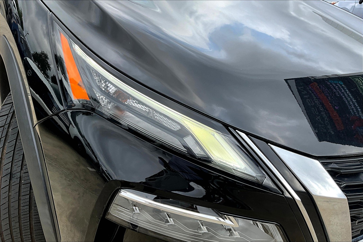 Rogue SV
