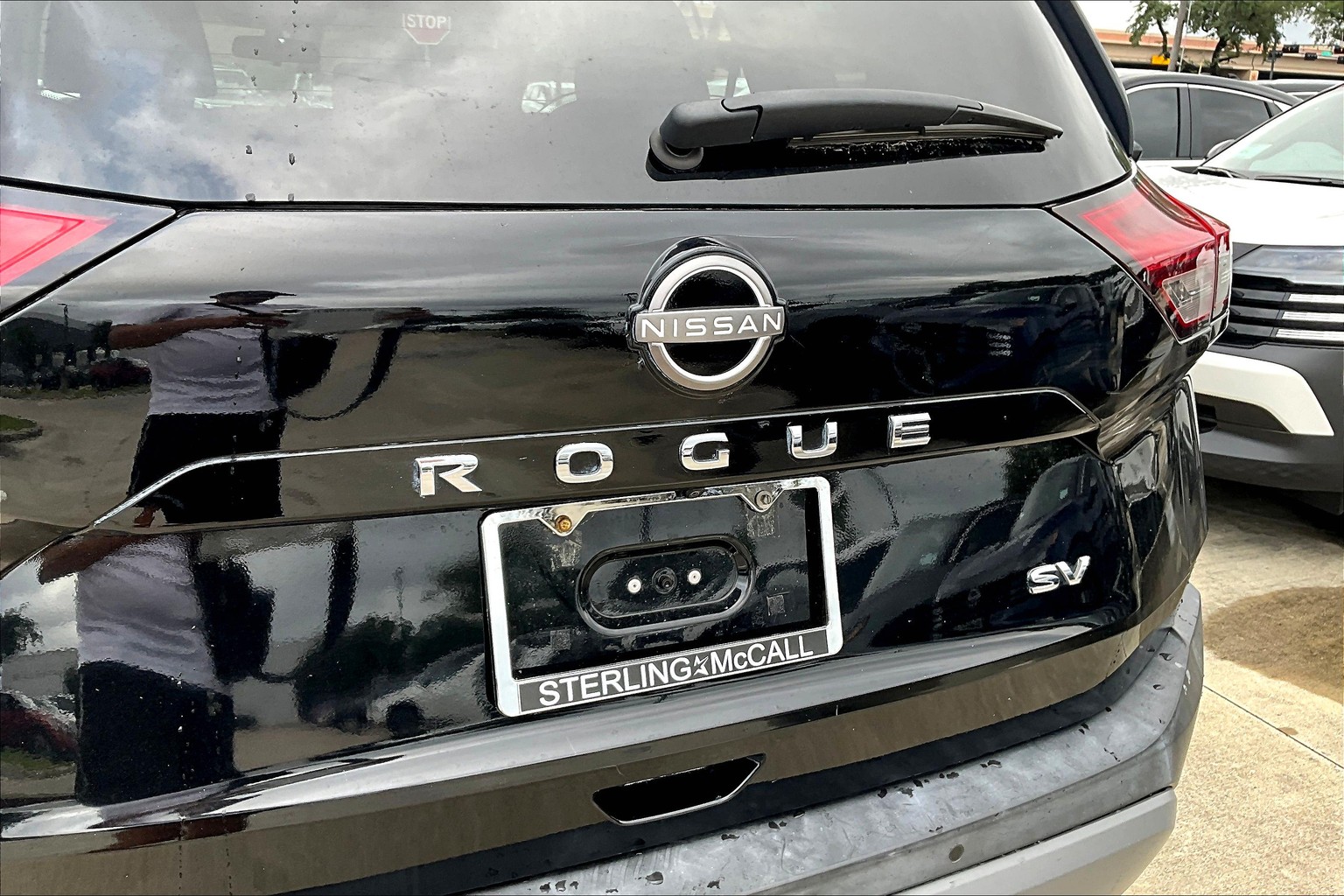Rogue SV