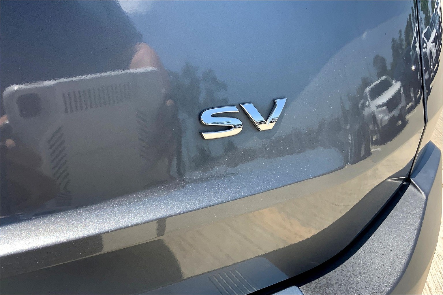 Rogue SV