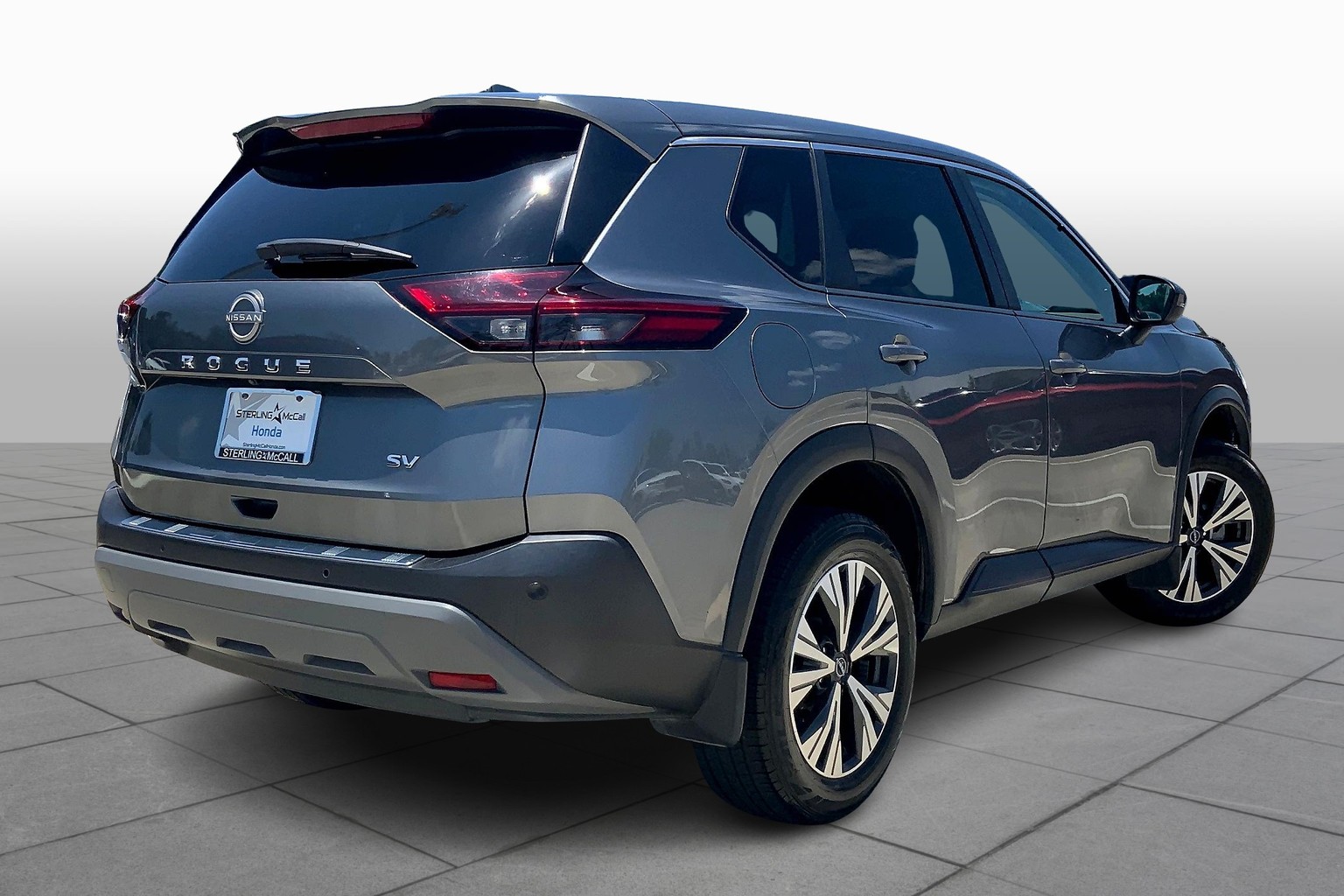 Rogue SV