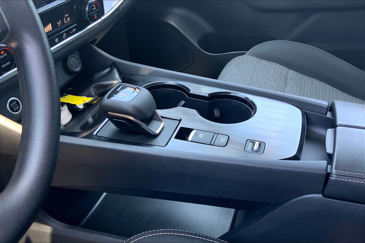 Rogue SV