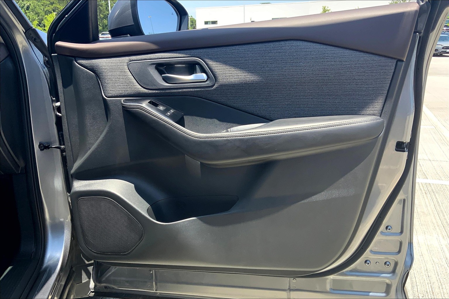 Rogue SV