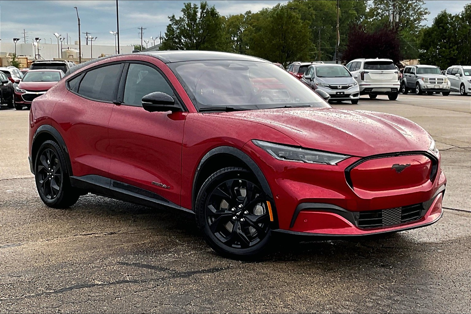 New 2023 Ford Mustang Mach-E Premium PREMIUM in Morton #A58076