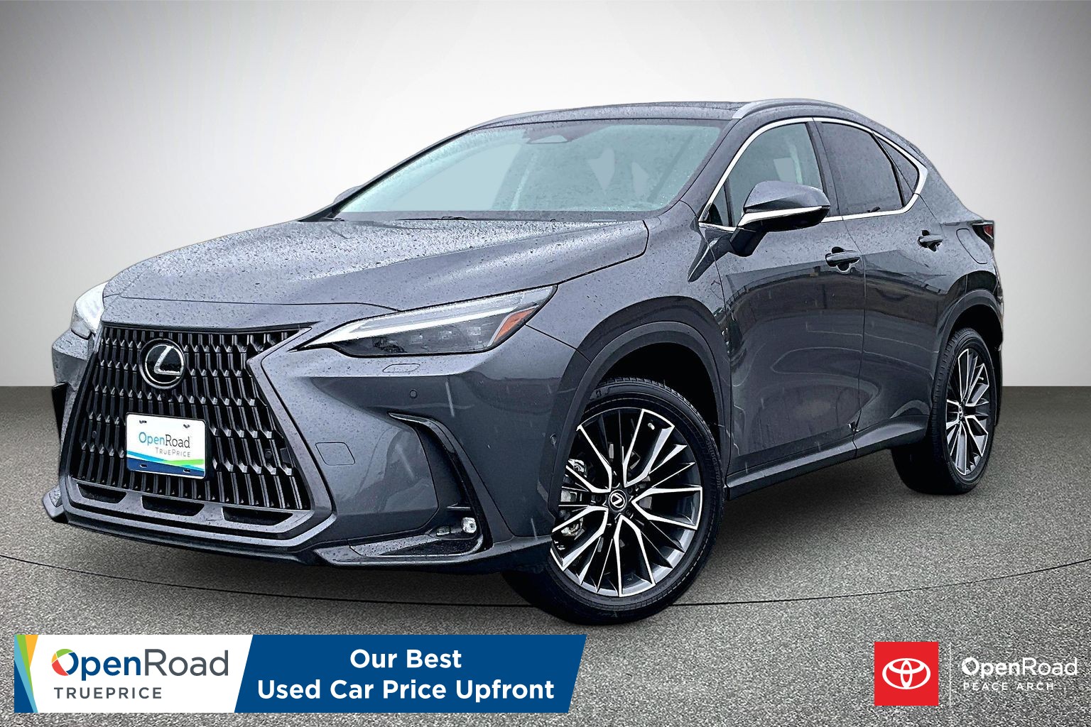 Gray (Cloudburst Grey) 2022 Lexus NX Hybrid SUV / Crossover Automatic