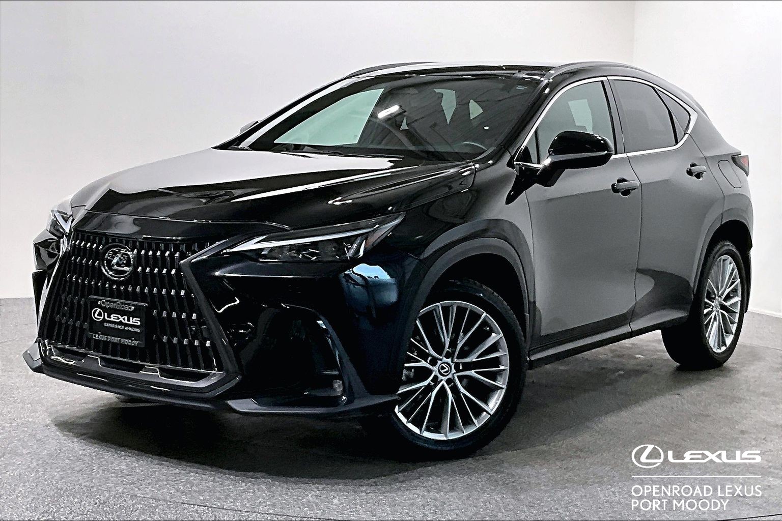 2022 Lexus NX Hybrid