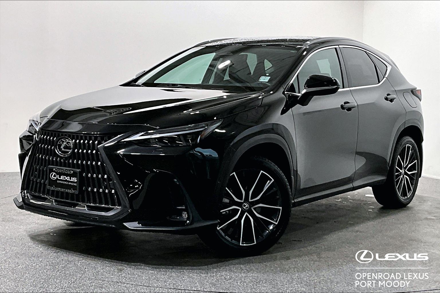 2025 Lexus NX 350 Executive AWD