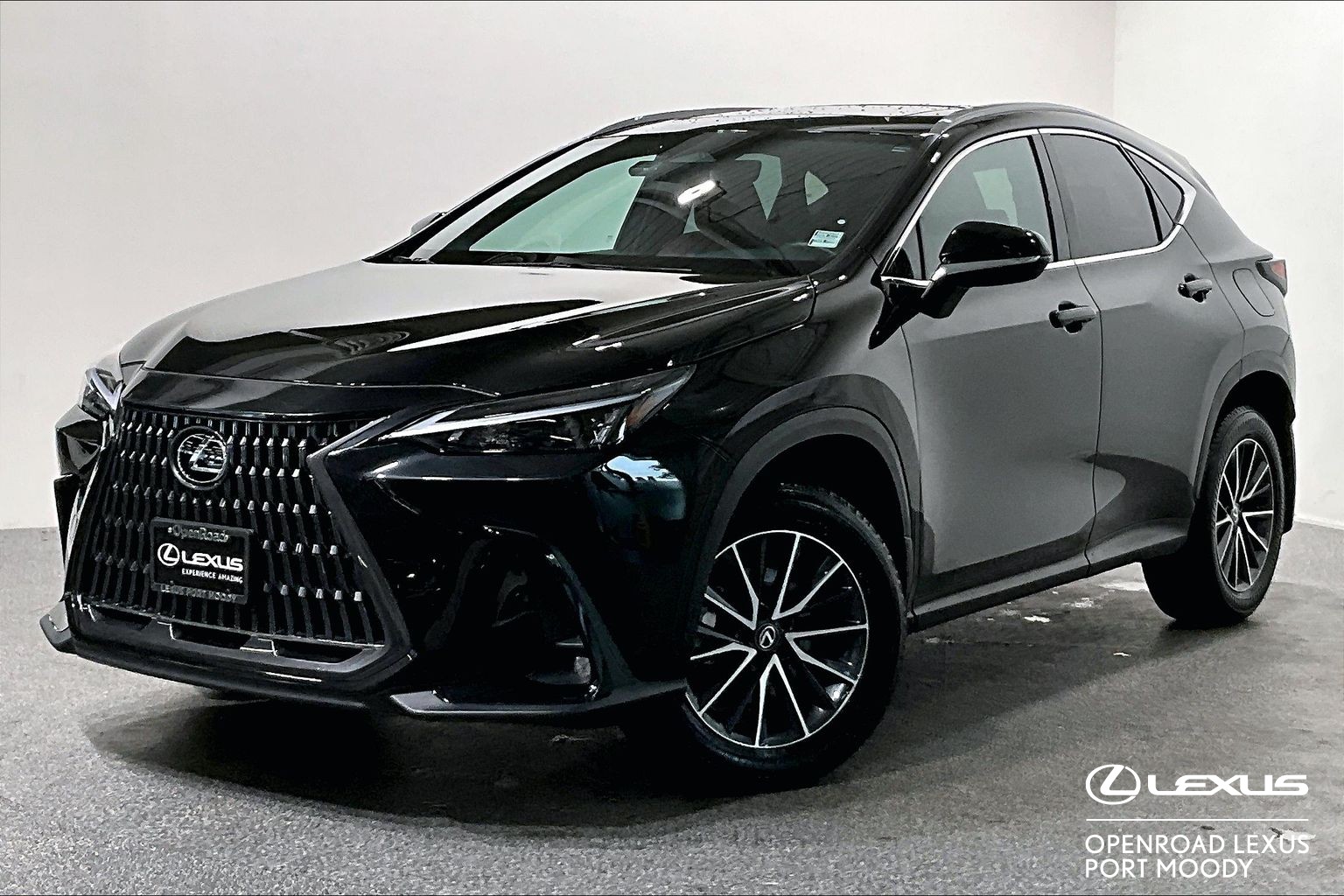 2025 Lexus NX