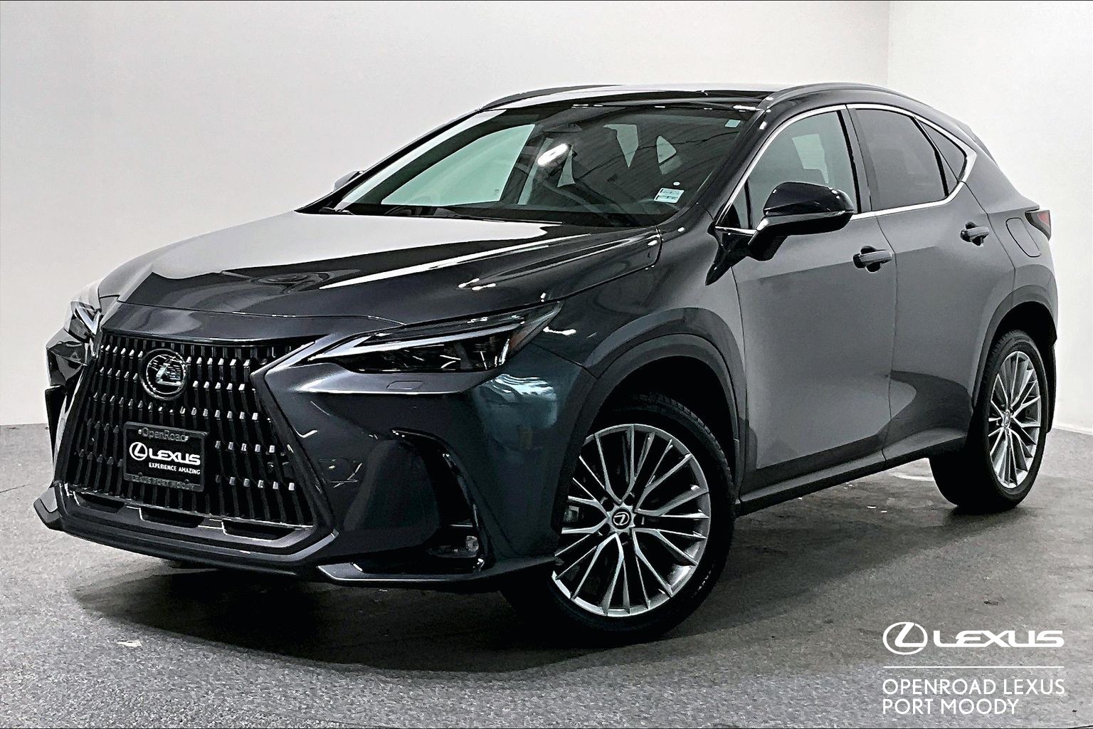 Gray (Cloudburst Grey) 2024 Lexus NX SUV / Crossover Automatic