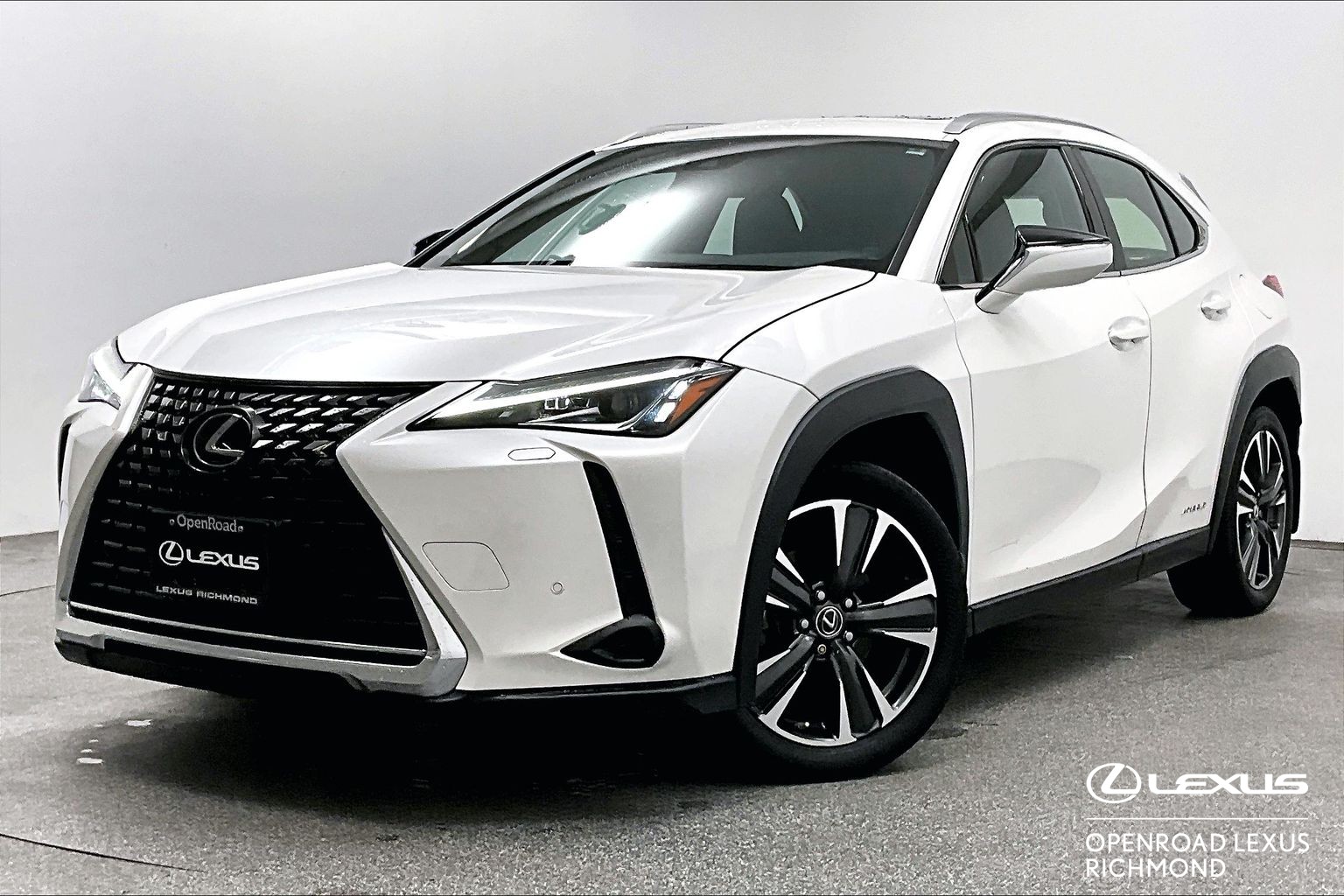 2019 Lexus UX Hybrid 250h Luxury AWD